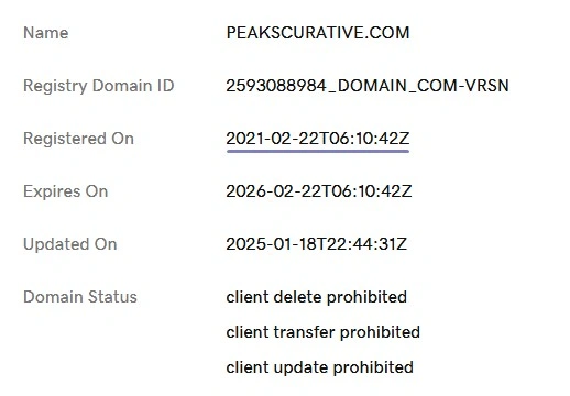 Domain information in business since 2021